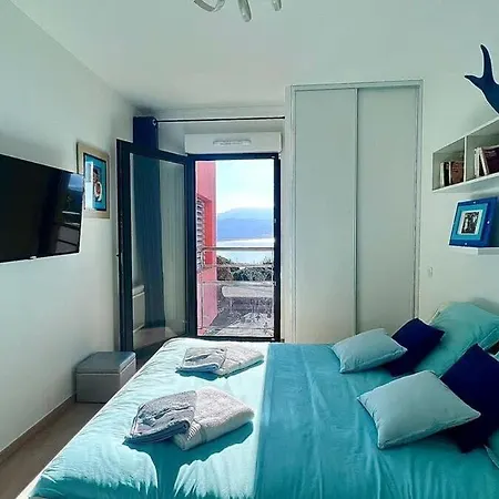 T2 Avec Vue A L'entree De La D'ajaccio Ajaccio (Corsica)